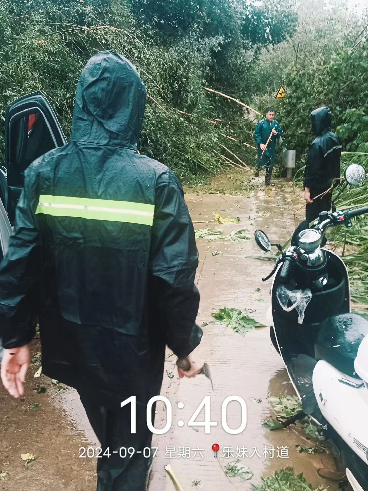 4.jpg 4.jpg