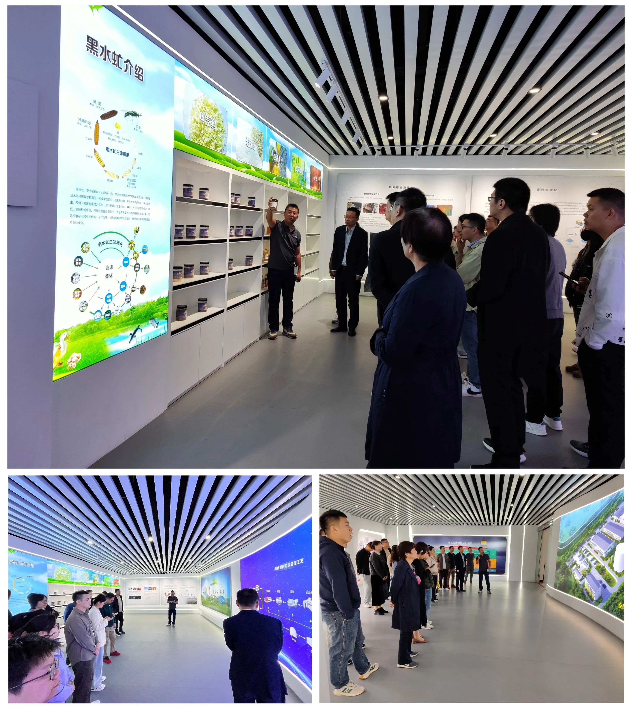 微信图片_20241030183523.jpg 微信图片_20241030183523.jpg